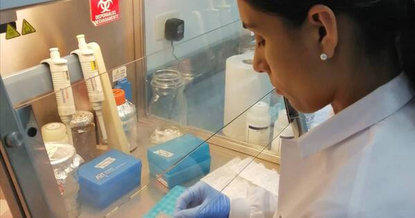 La Nación / “Hasta ahora deltacron no existe y se cree que existió una contaminación”, afirma bióloga