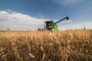 Desde Argentina destacan medidas de Paraguay para apoyar a la agroganadería