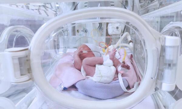 Sugieren que los bebés prematuros también accedan al esquema de vacunación – Prensa 5