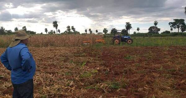 La Nación / Menor producción agrícola podría presionar a la inflación