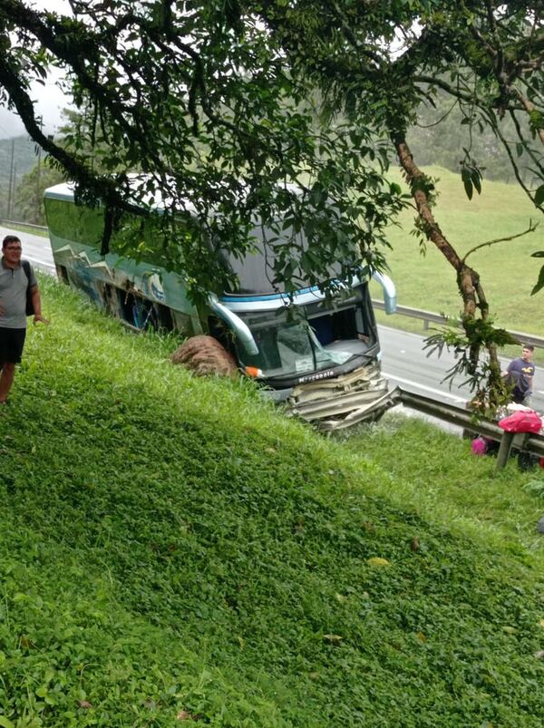Bus con paraguayos choca y deja heridos en Guaratuba - Nacionales - ABC Color