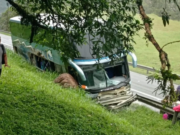 Un transporte de pasajeros se accidentó en Brasil - Megacadena — Últimas Noticias de Paraguay