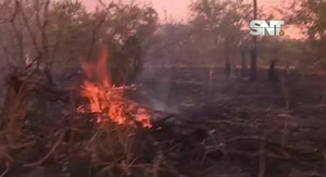 Varias hectáreas se incendian en Villeta - SNT