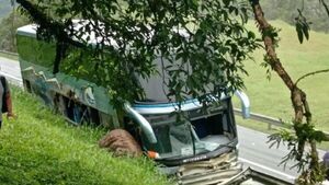 Brasil: Bus paraguayo con 49 pasajeros queda sin freno y choca rumbo a Camboriú