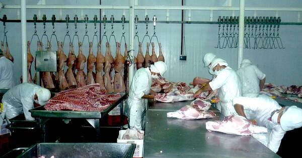 La Nación / Paraguay envió un 138% más de carne de cerdo en el 2021