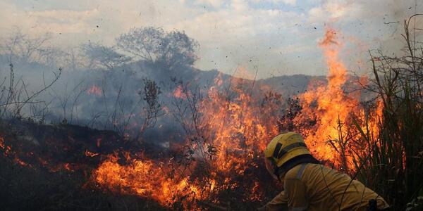 Si no llueve, el jueves podrían comenzar grandes incendios - El Independiente