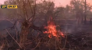 Incendios Forestales: Focos de calor e incendio en varias zonas - C9N
