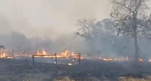 No paran los incendios: ayer ardieron 2000 hectáreas en Villeta y 5000 hectáreas en Falcón