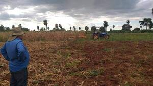 Menor producción agrícola podría presionar a la inflación