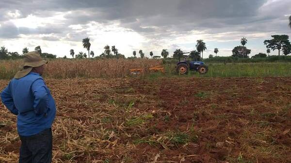 Menor producción agrícola podría presionar a la inflación