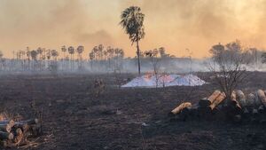 Focos de incendio en el país: el 95% es provocado por la acción humana