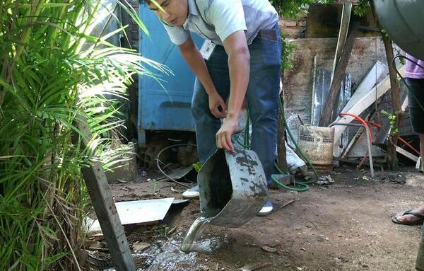 Dengue: Salud insta a colaborar con la eliminación de criaderos de mosquitos