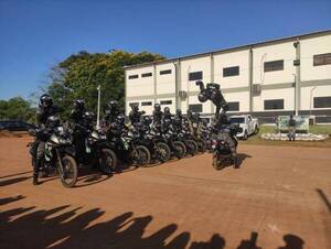 Crónica / [VIDEO]Apareció "Marito" y "soltó" a 45 linces nuevos para atrapar motochorros