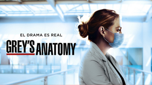 Ya se viene la temporada 19 de “Grey’s Anatomy” y con Ellen Pompeo de vuelta como Meredith
