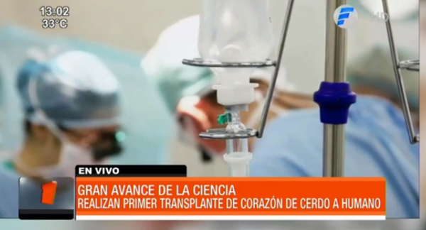 Realizan primer trasplante de corazón de cerdo a humano | Telefuturo
