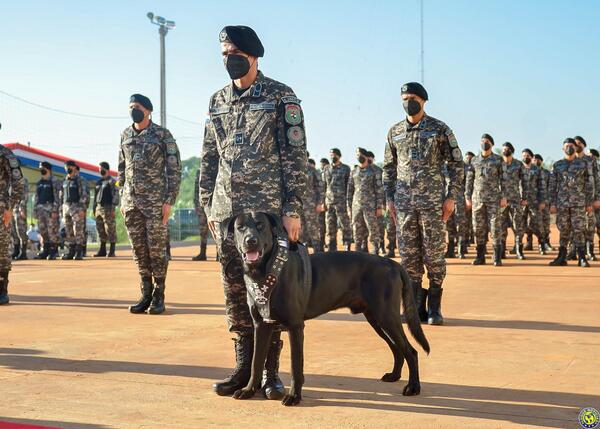 Rex: El perro que patrullará las calles con los linces •