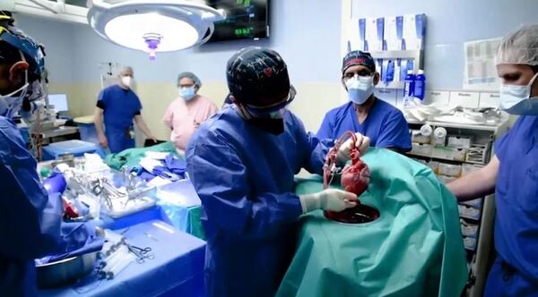 TRASPLANTAN CON ÉXITO CORAZÓN DE CERDO A UN HOMBRE EN EE.UU.  - Itapúa Noticias