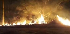 Pilar, con varios reportes de incendio  - Nacionales - ABC Color