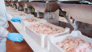 Exportación de pollo y cerdo generaron ingresos por US$ 14,4 millones en 2021