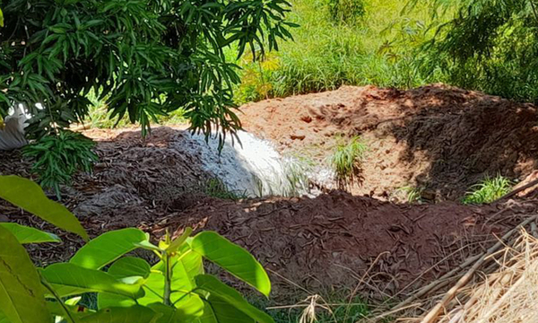 Vecinos hallaron fosa con varios perros muertos en Asunción - OviedoPress