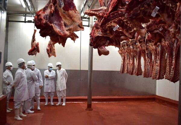Objetivo 2022: ubicar la carne paraguaya en los principales mercados del mundo