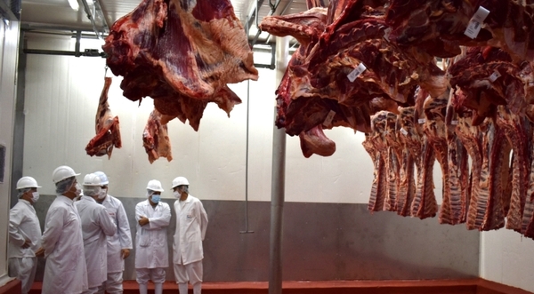 En el 2021 Paraguay envió el 89,5% de sus embarques de carne a Chile, Rusia, Taiwán, Brasil e Israel