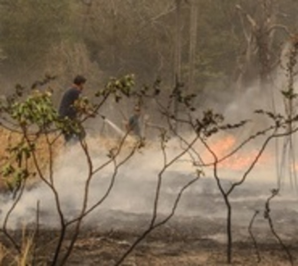 Infona registró más de 100 focos de calor este martes - Paraguay.com