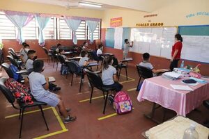 MEC dice “trabajar” para que el 100% de las clases sean presenciales, desde febrero - El Trueno
