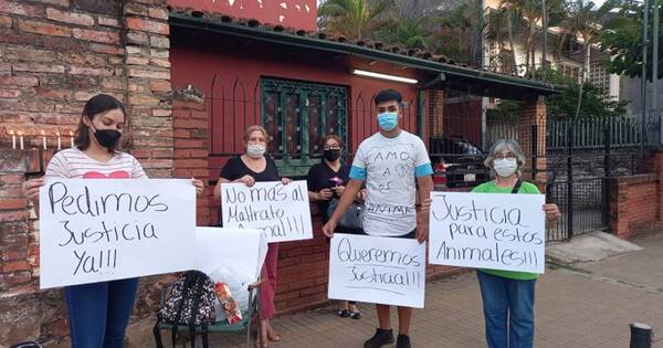 La Nación / Denuncian macabro hallazgo de fosa común de animales muertos en Trinidad