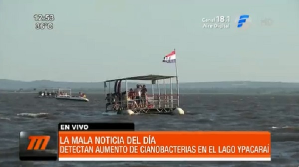 Detectan aumento de cianobacterias en el lago Ypacaraí