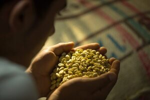 Cae la producción de café en Colombia por segundo año consecutivo - Megacadena — Últimas Noticias de Paraguay