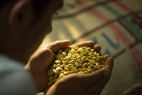Cae la producción de café en Colombia por segundo año consecutivo - Megacadena — Últimas Noticias de Paraguay