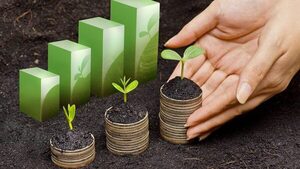 Las fintech brindan una flexibilidad mayor que el sector financiero clásico