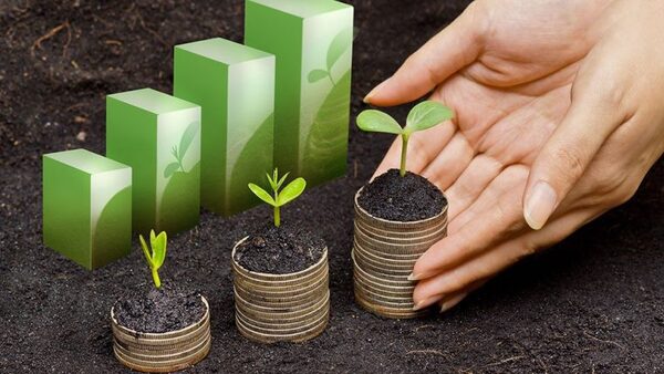 Las fintech brindan una flexibilidad mayor que el sector financiero clásico