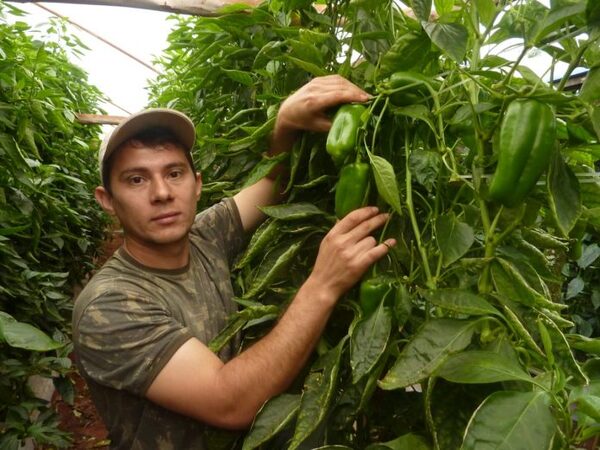 El Crédito Agrícola otorgó préstamos a 14.000 jóvenes emprendedores durante el 2021