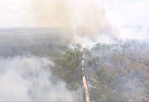 Incendio forestal de gran magnitud en Surubi’y - Nacionales - ABC Color