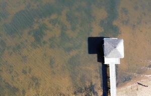 Lago Ypacaraí: nivel de contaminación sigue por encima de lo recomendado