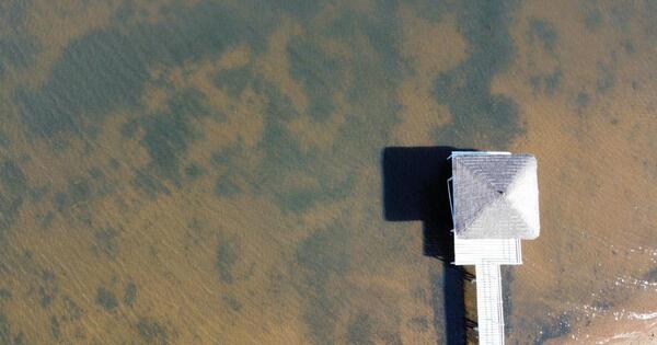 Nivel de contaminación del lago Ypacaraí sigue por encima de lo recomendado