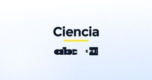 Argentina avanza en proyectos de cooperación en energía nuclear con China - Ciencia - ABC Color