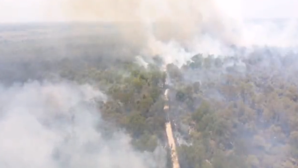 Incendios forestales afectan a distintos puntos del país