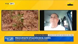 Preocupante situación en el campo por la sequía - Factor Clave - ABC Color