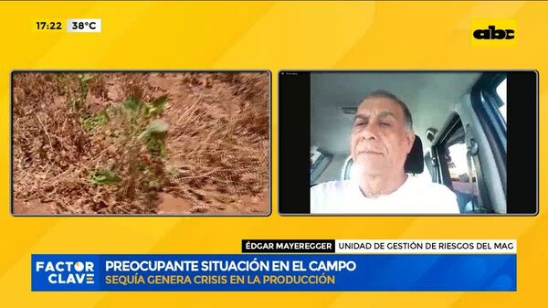 Preocupante situación en el campo por la sequía - Factor Clave - ABC Color