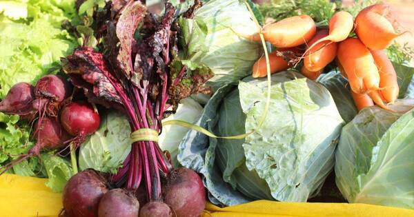 La Nación / Familias de San Juan Nepomuceno fueron beneficiadas con vales de alimentos de la Feria Ka’avo