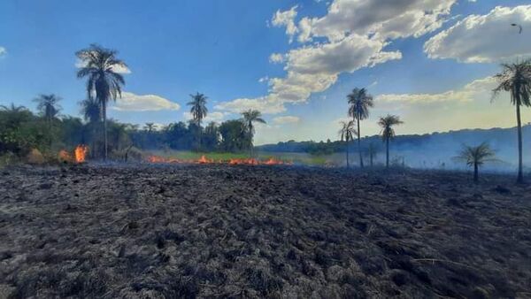 Controlan incendio forestal en Caacupé - Nacionales - ABC Color