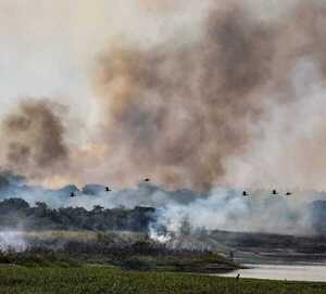 Infona emite recomendaciones para prevenir los incendios forestales - .::Agencia IP::.