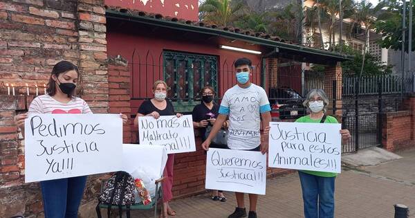 La Nación / Hallan fosa común de animales muertos