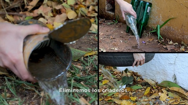 Eliminemos criaderos todos los días para evitar brote de dengue | Lambaré Informativo