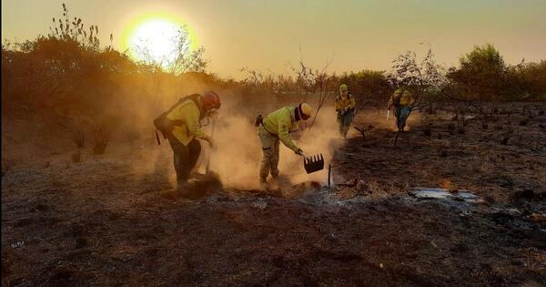 Ante focos de calor, Infona da recomendaciones para prevenir incendios
