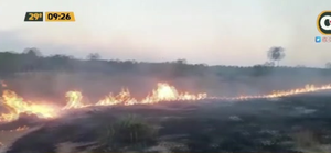 'Zona de guerra': Incendio forestal en Alberdi - C9N