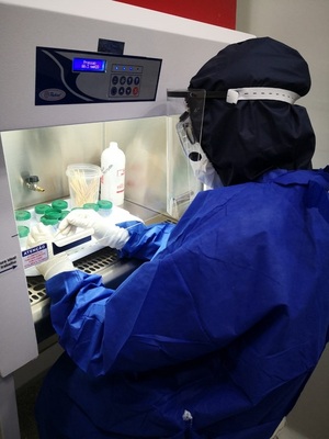 El 90% de muestras analizadas en la última semana corresponden a Ómicron, afirman